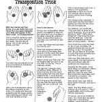 the gravitational coin transposition